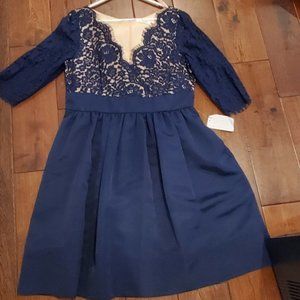 Eliza J - NEW! Lace Fit and Flare Cocktail Party Dress Size 14 in Navy
